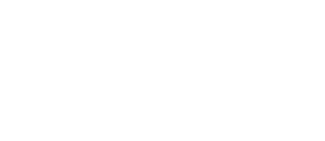 Orlen VC logo