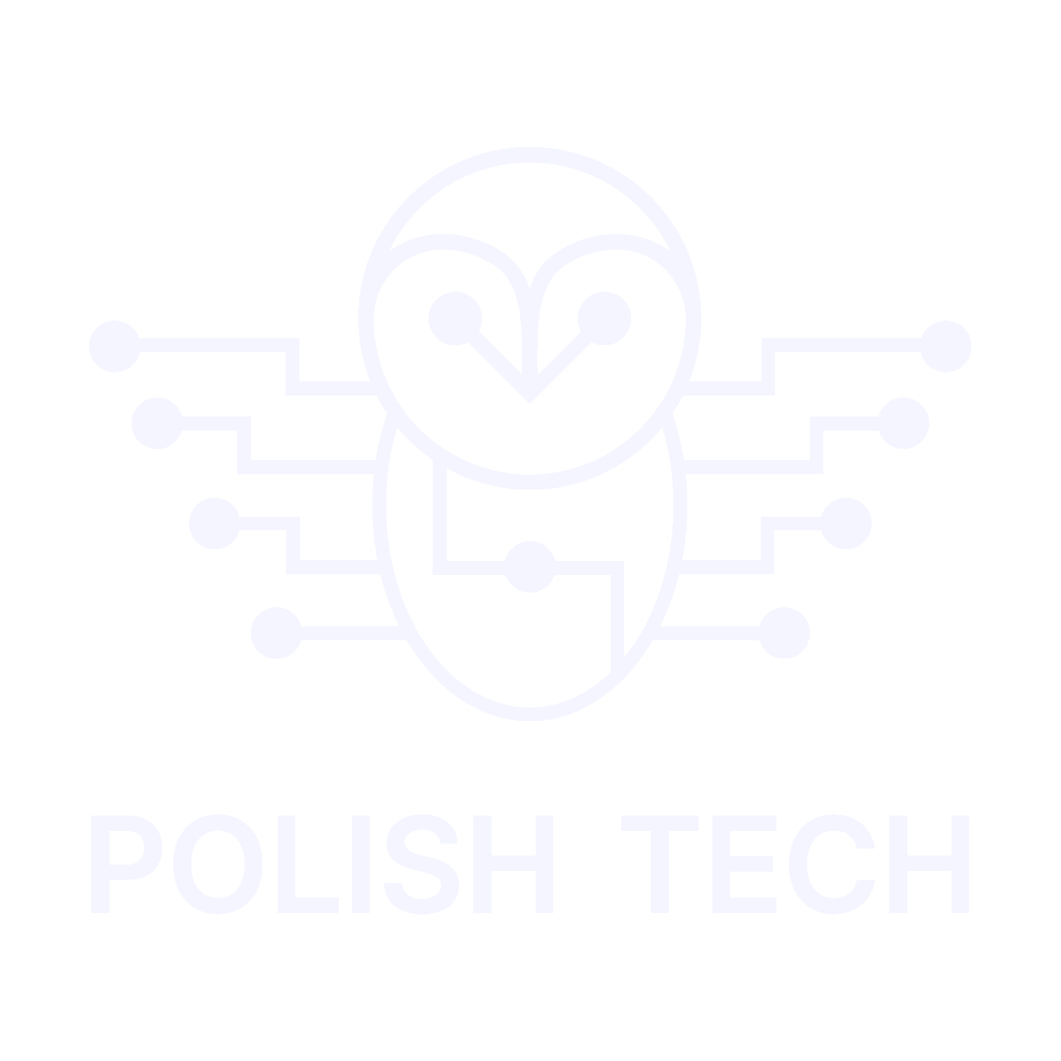 Polish Tech