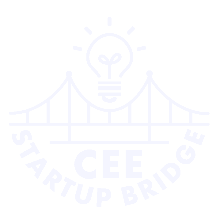 Ukrainian Startup Bridge