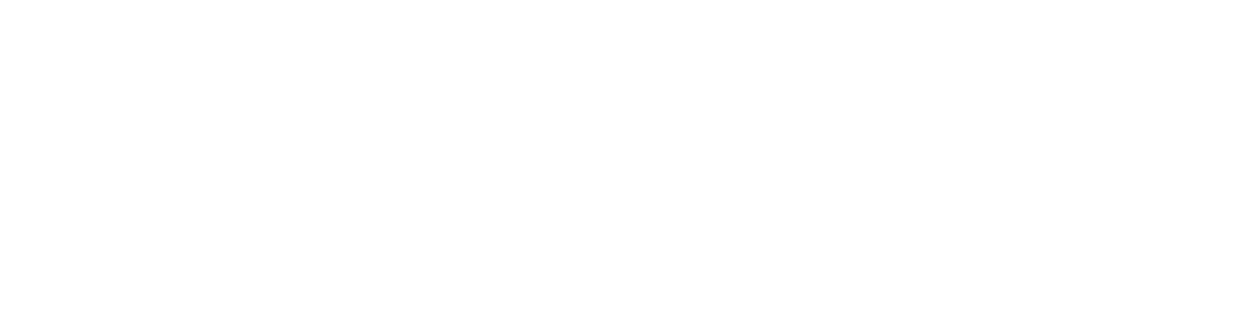 ZICER
